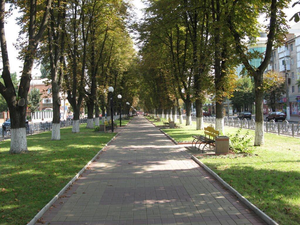 Неймовірно Затишна Студія У Центрі Міста Біля Лікарні Імені Пирогова Виниця Екстериор снимка